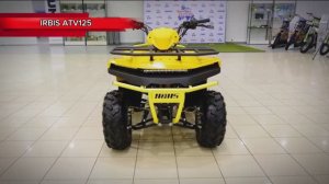 Квадроцикл IRBIS ATV 125