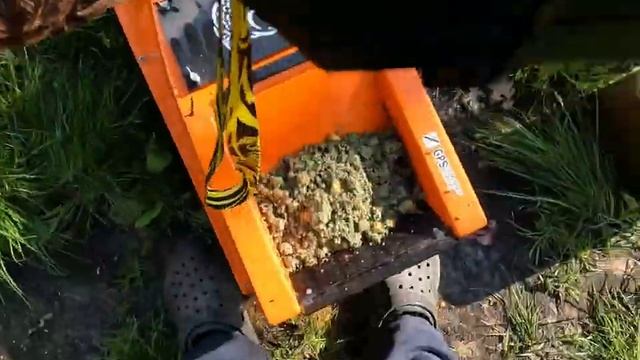 Рыбалка на карпа в селе Отрадное. Как мы ловили с Жекой карпа??????? смотреть онлайн