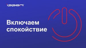 Ippon источники бесперебойного питания