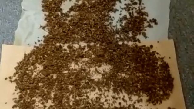 ОДУВАНЧИКИ ЧТО С НИМИ ДЕЛАТЬ?! СДЕЛАЙ ТАК !!! смотреть онлайн