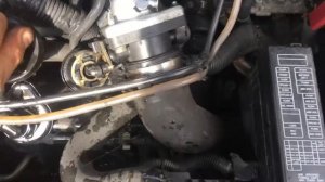 Т2819 ДВС (Двигатель) Nissan Primera P12 1.9dci F9Q