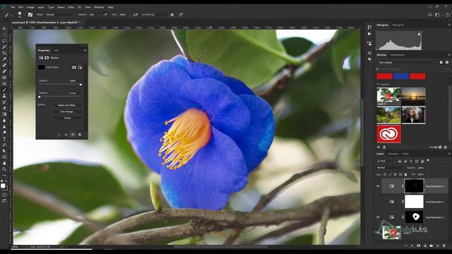 Photoshop: Changing color смотреть онлайн