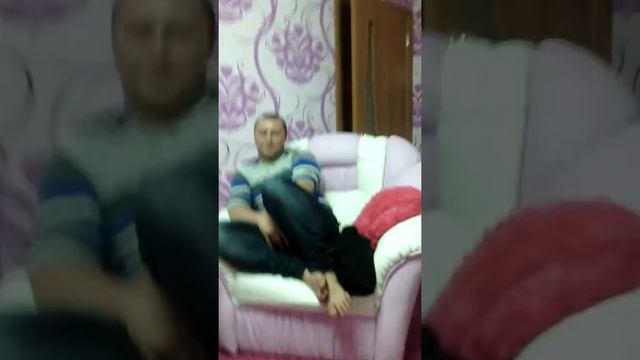 Бродячие коты с дмитрием пигаловым смотреть онлайн