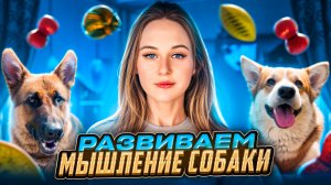 РАЗВИВАЕМ НЮХ И МЫШЛЕНИЕ СОБАКИ|Игрушки для собак