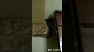 Шумоизоляция дверей монтажной пеной на 100%