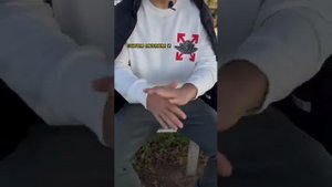 Китайская зарядка, для "ленивых"