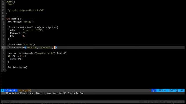 32 - Introduction à Go : Redis & Hashes [Niveau moyen]