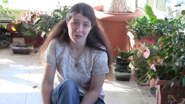 William Shakespeare's Sonnet 23 смотреть онлайн