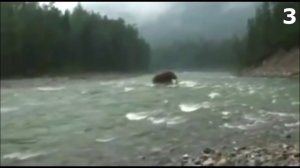 5 ВЫМЕРШИХ СУЩЕСТВ СНЯТЫХ НА КАМЕРУ