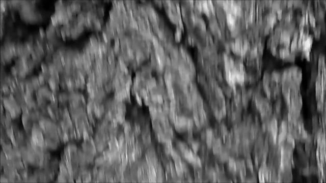 Художник - Александр Гнутов-Баюн