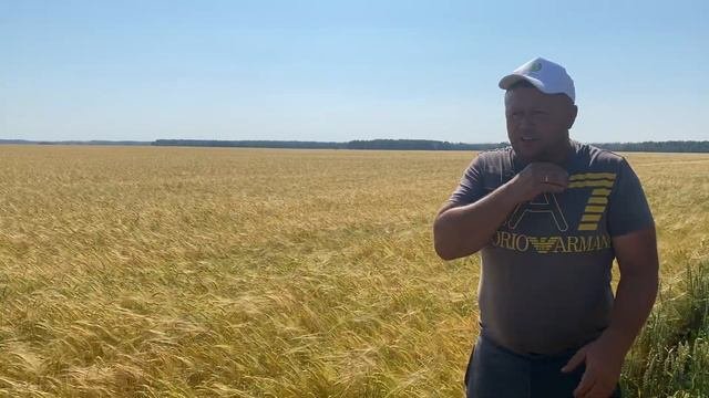 Гуминатрин Ризоторфин🌾 Сокращение стартовых доз азотных удобрений.