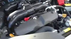 MY15 SUBARU FORESTER FB25 ENGINE RUNNING AT NARELLAN AUTO PARTS PLUS