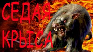 Седая крыса. Истории на ночь. Мистика