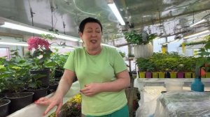 Нужна поддержка и помощь Канал Альпенсад Евгения.