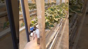 Немного о том, как сделаны стеллажи для малообъёмки