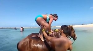 Смешные приколы #36