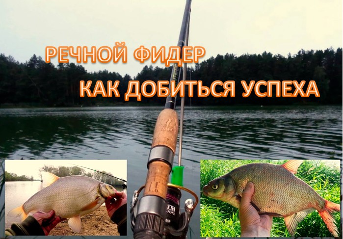 РЕЧНОЙ ФИДЕР — КАК ДОБИТЬСЯ УСПЕХА