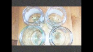 Салат ассорти на зиму.