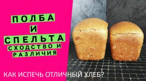 Полба и Спельта: разница и сходство | Как испечь идеальный хлеб?