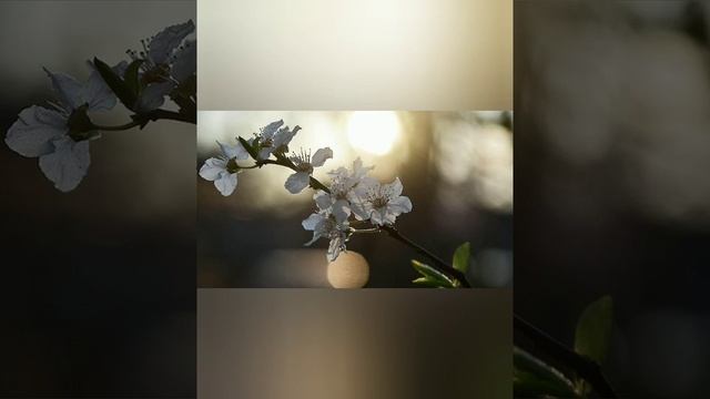 Волшебный ритуал на удачу в делах!