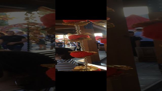 ДЕНЬ ИНДИИ  В МОСКВЕ !  Он прошел в ландшафтной части развлекательного парка «Остров Мечты"