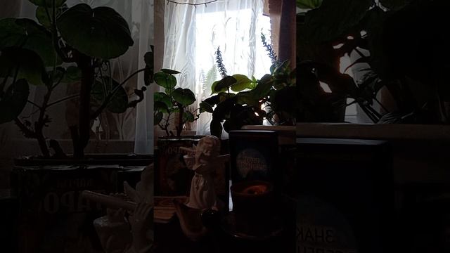 Таро.Что происходит в вашей жизни.3 варианта. смотреть онлайн