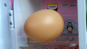 Игрушка собачка Шоколадка готовит завтрак! Развивающие видео как Мама про игрушки