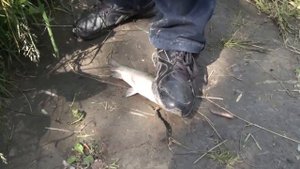 Рыбалка на Ине 2014 2