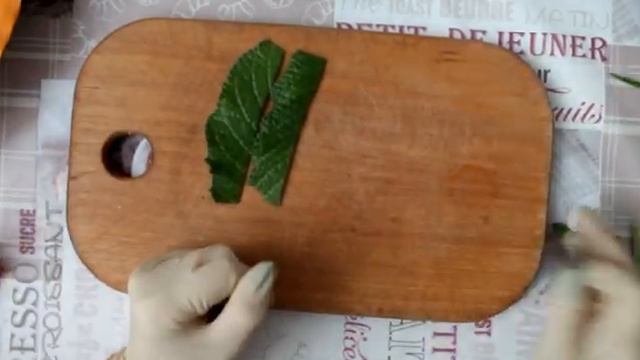 Мое первое укоренение стрептокарпуса смотреть онлайн