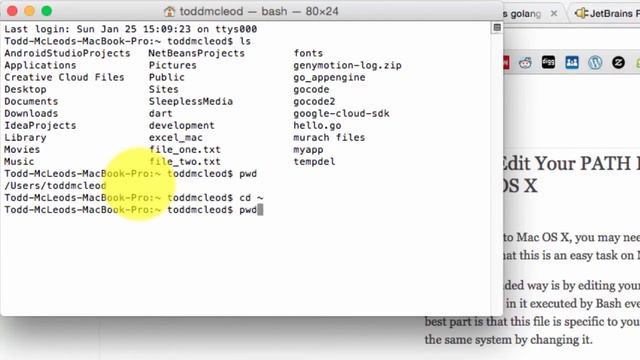 06 setting up GO INSTALL and GOPATH смотреть онлайн