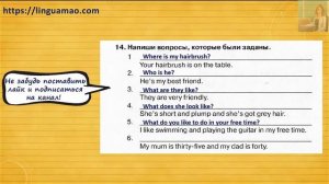 Spotlight 4 класс Сборник упражнений страница 28 номер 14 ГДЗ решебник