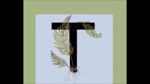 труд - дангуоле расалайте (6)