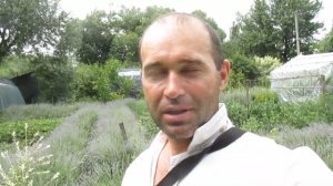 РЕЗУЛЬТАТ ПОДВЯЗКИ ГОРОХА. Урожай гороха. Обзор дачи в июне.