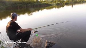 КАРП И КАРАСИ ГНУТ УДОЧКУ, ДИКИЕ ПОКЛЁВКИ! ВОТ ЭТО РЫБАЛКА! Рыбалка на карася в июне 2023