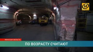 Хорошо сохранился. В Солигорске на руднике нашли останки ракоскорпиона времён палеозойской эры