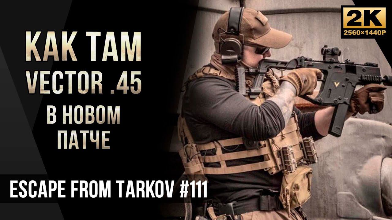 Сборка вектор тарков. Сборка вектор тарков. Сборка вектор тарков. Escape from tarkov вектор. Пп витязь тарков сборка.