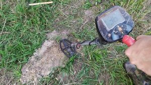 металлоискатель Teknetics Eurotek PRO 11, оловянистый сплав