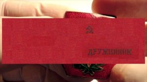 Значок "Дружинник"