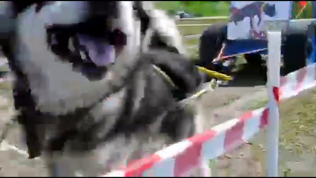 VID-20180329-WA0036 смотреть онлайн