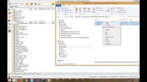Skyrim SE: SSE Engine Fixes Nexus Mod Manager