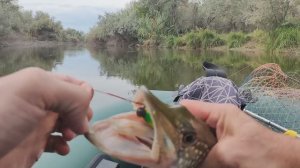 ВСЁ ТАКИ КЛЮНУЛА ЩУЧКА!! НЕ ОЖИДАЛ ТАКОЙ ПРЫТИ!!