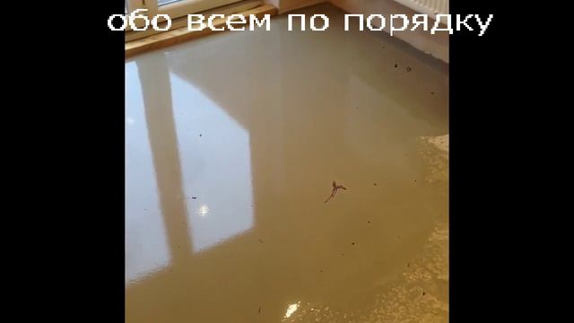 Валик для наливного пола. Как разглаживать стажку пола наливной пол игольчатым валиком