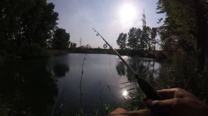 Вечерняя рыбалка на пылящее тесто