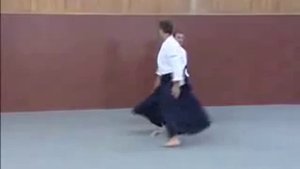 Айкидо против каратэ