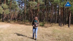 как признаться парню в любви первой