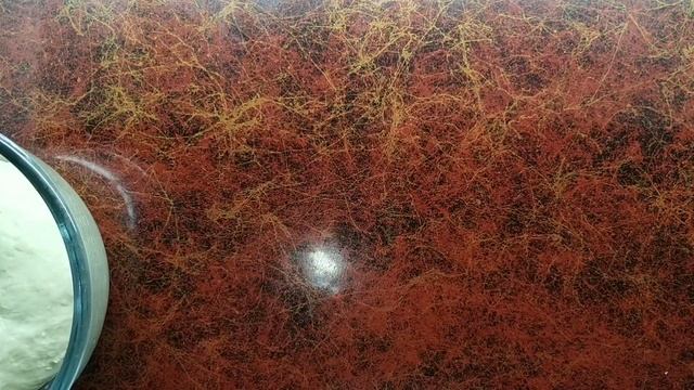 #hochugotovit БУЛОЧКИ ДЛЯ БУРГЕРОВ КАК В МАКДОНАЛЬДС, МЯГКИЕ И ВОЗДУШНЫЕ ОРИГИНАЛЬНЫЙ РЕЦЕПТ! смотреть онлайн