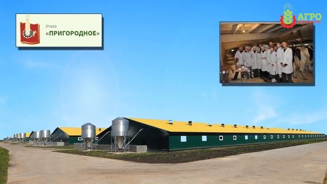 Преимущества экструдирования кормов для КРС. Как улучшить качество корма.
