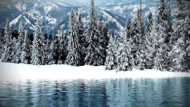 Удивительная красота . Красота зимней природы. Зимний лес