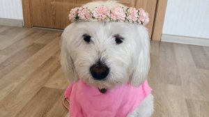 Каждый имеет право на жизнь