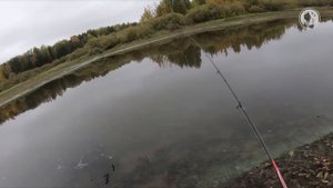 Рыбалка на малых реках | Щука на воблер | Утка на манок